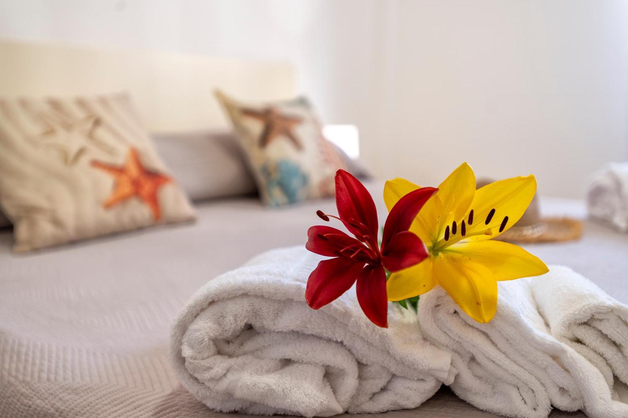 Balearhome ألغيرو المظهر الخارجي الصورة